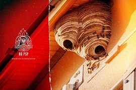 Zdjęcie z interwencji OSP Baligród